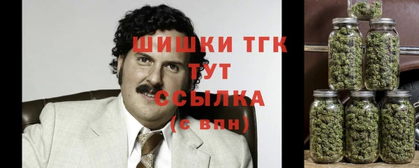 эйфоретик Бердск