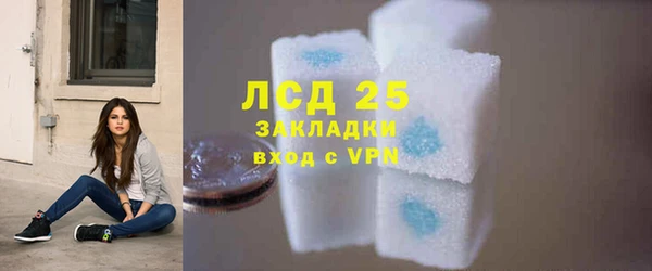 шишки Магас
