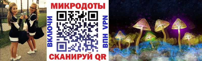 наркотики  Билибино  Псилоцибиновые грибы прущие грибы 
